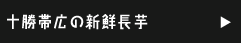 十勝帯広の新鮮長芋